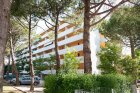 Sequoia_esterno2